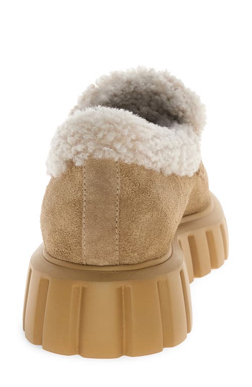 Voile Blanche Grenelle Genuine Shearling Platform Loafer In Brown