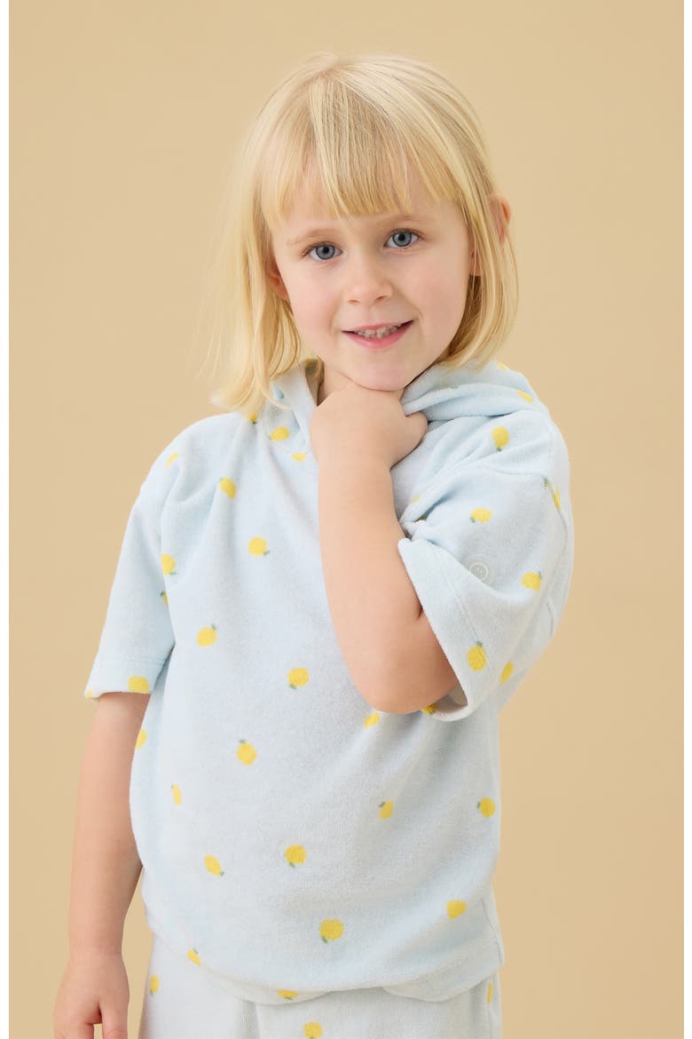 Lemon Print Towelling Hoodie, Alternate, color, Lemon & Blue