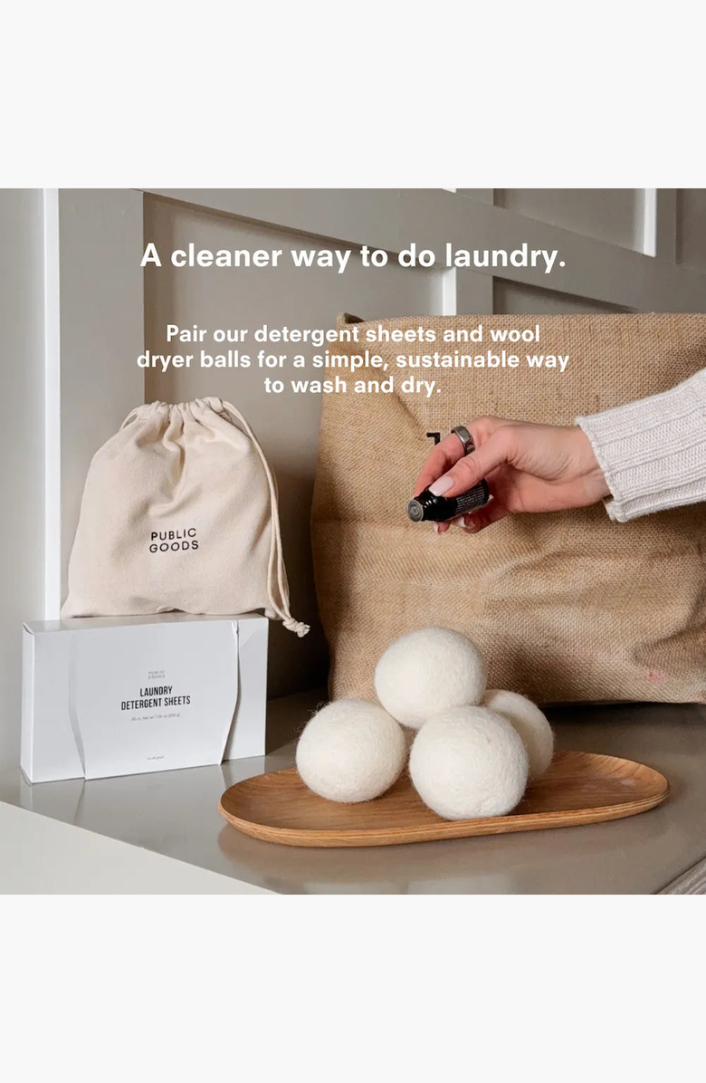 PUBLIC GOODS Laundry Detergent Sheets, Alternate, color, Fragrance Free