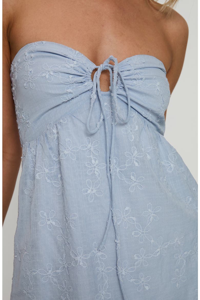 Rosenberg Embroidered Strapless Minidress, Alternate, color, BLUE