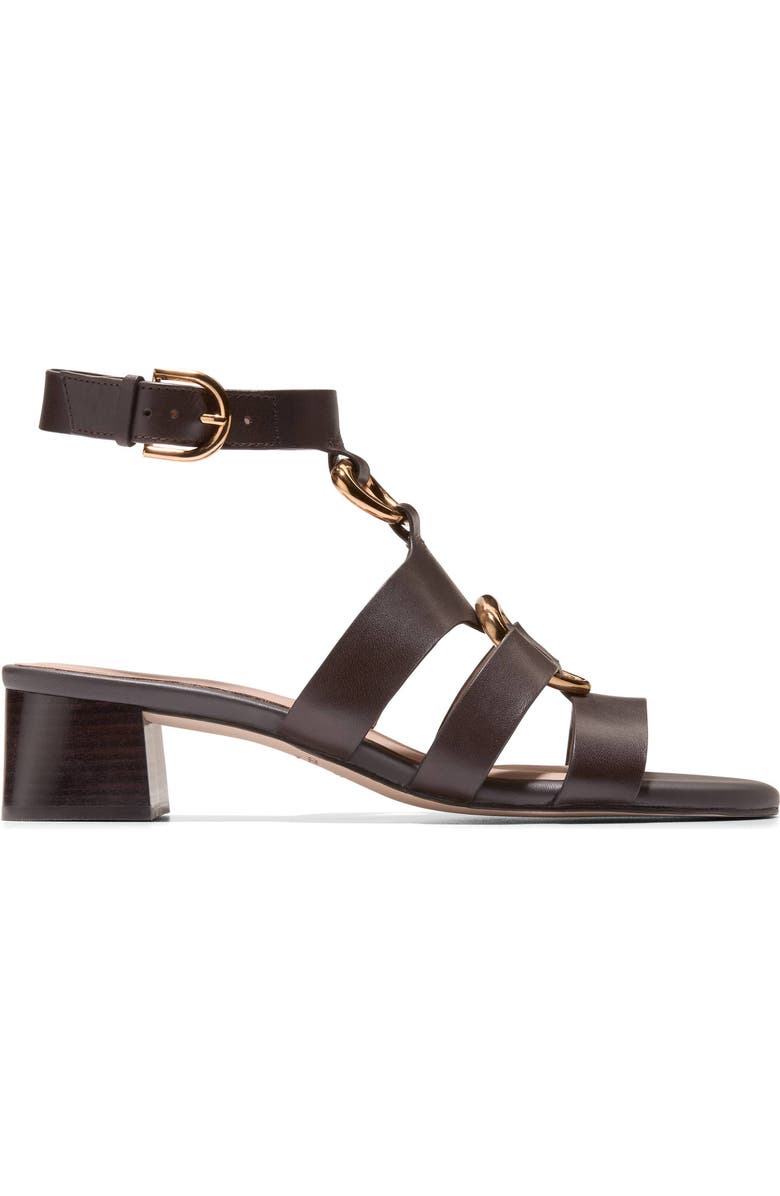 Cole Haan Lyanna Link Ankle Strap Sandal, Alternate, color,