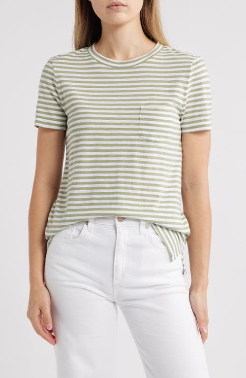 CASLONR CASLON(R) COTTON & MODAL T-SHIRT