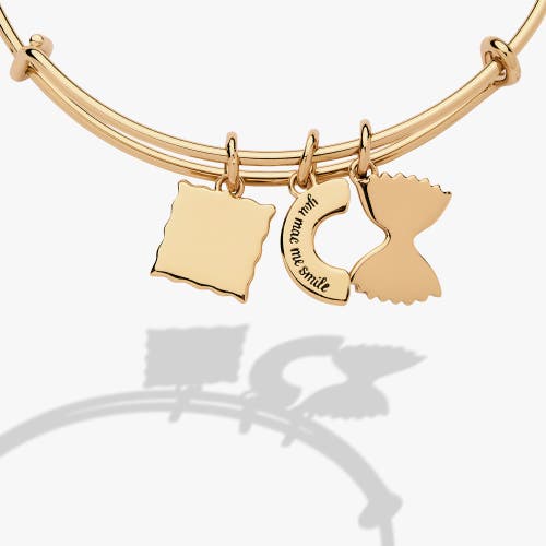 Alex And Ani Bangle Bracelet Multi Charm Pasta In Gold