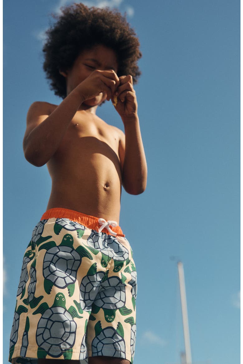 Kids' Print Swim Trunks, Alternate, color, TURTLE PRINT