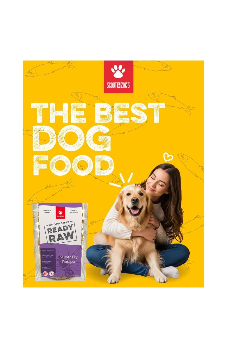 Scout & Zoe's Chophouse Ready Raw, Super Fly, 9 Dog Food Freeze Dried Patties, Alternate, color, Multicolored