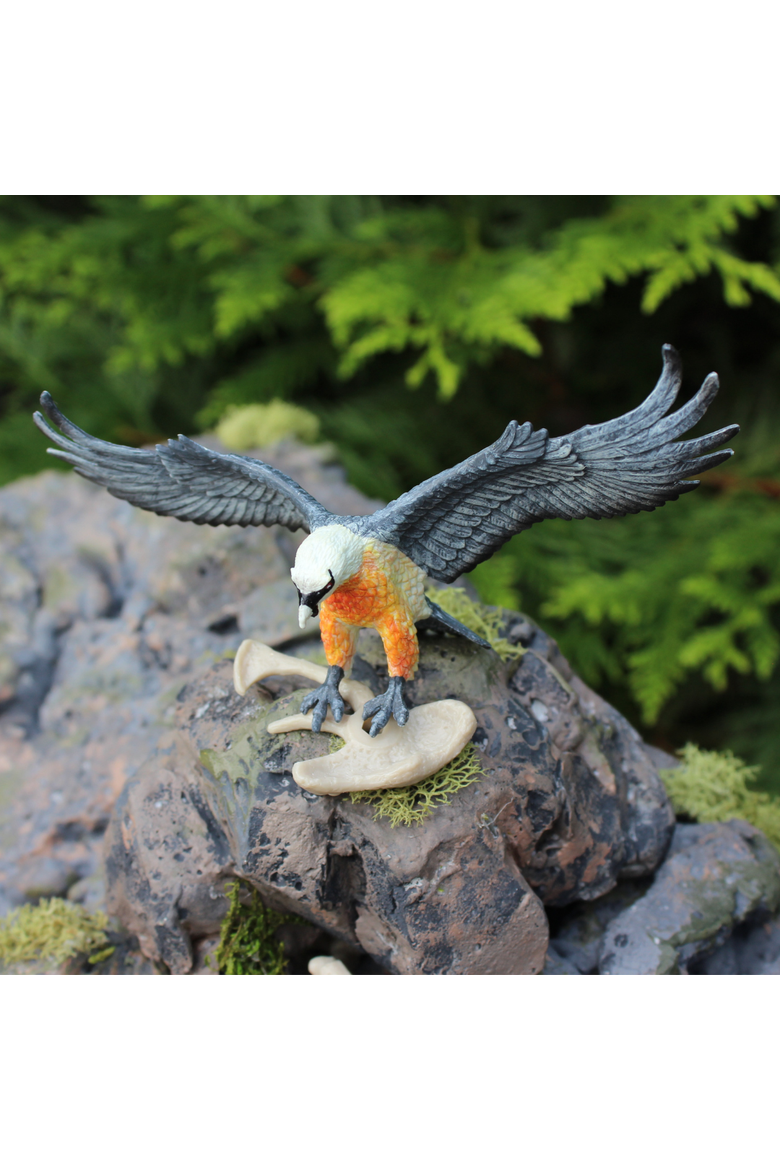 Bearded Vulture Kids Toy Figure, Alternate, color, None