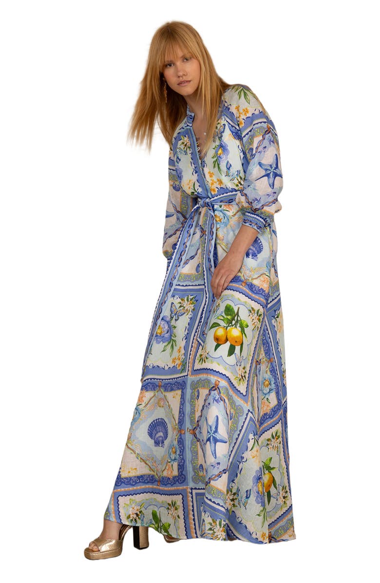 Hale Bob Lakelynn Linen Maxi Dress, Alternate, color, Blue