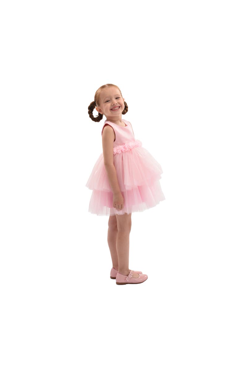 Mimi Tutu Amarielle Floral Waist Tulle Dress, Alternate, color, Pink