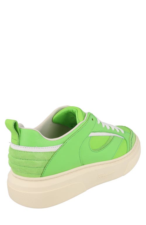 Ferragamo Man Sneakers Light Green Size 12 Leather In Green