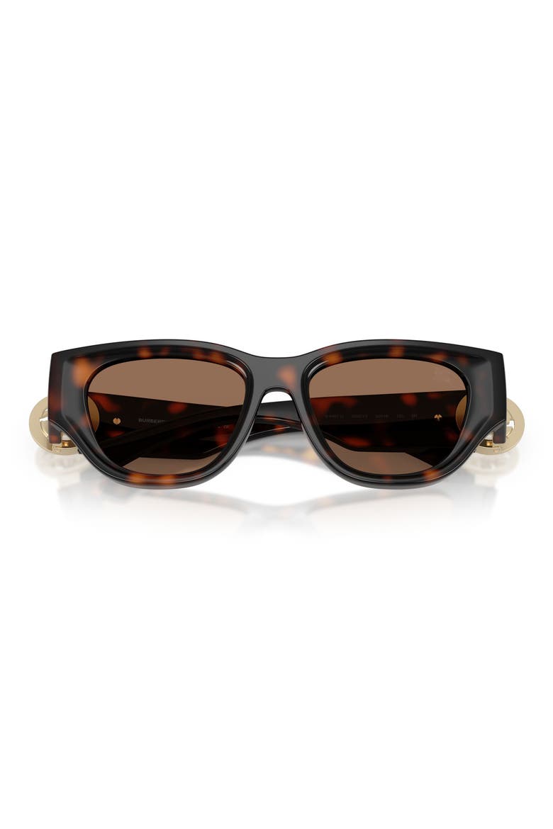 52mm Cat Eye Sunglasses, Alternate, color, DARK HAVANA / DARK BROWN