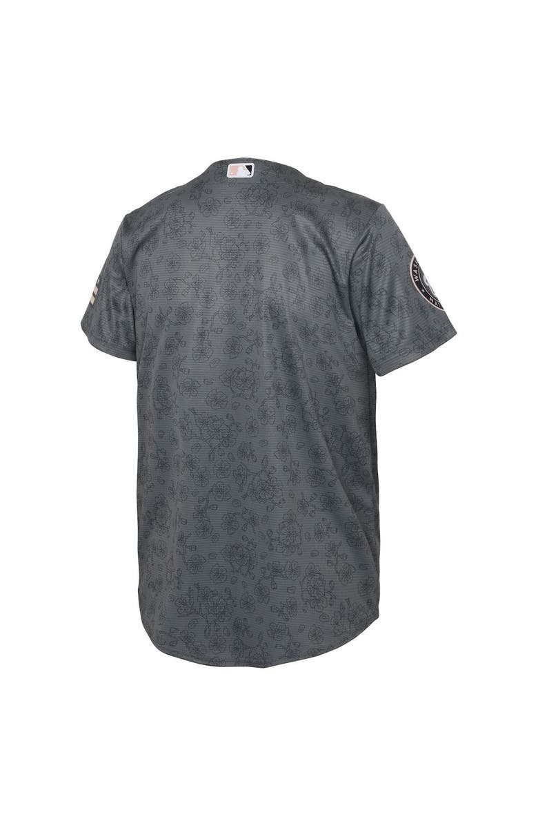 Nike Preschool Nike Gray Washington Nationals City Connect Replica Jersey, Alternate, color,