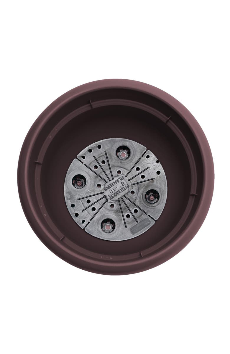 Bloem Ariana 13 Inch x 7 Inch Gardening Pot, Merlot, Alternate, color, Brown