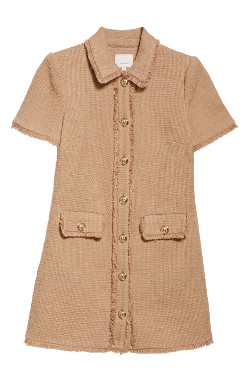 Cinq À Sept Pammy Cotton Tweed Mini Shirtdress In Brown
