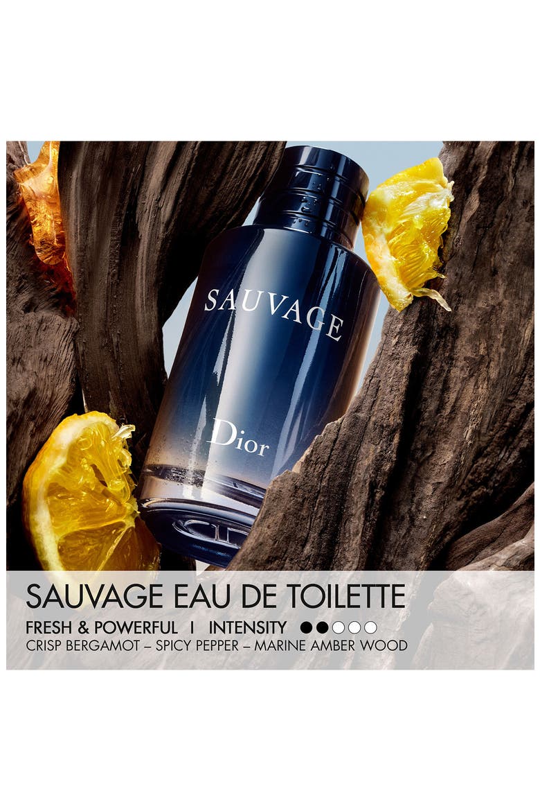 Sauvage Eau de Toilette Set (Limited Edition), Alternate, color, NO COLOR