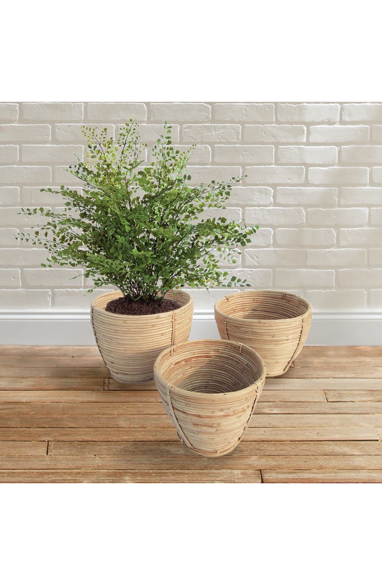 Napa Home & Garden Cane Rattan Round Tapered Baskets, Set Of 3, Alternate, color, Beige