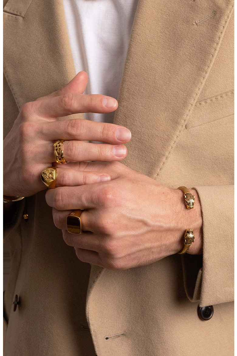 Lion Crest Ring, Alternate, color, Gold