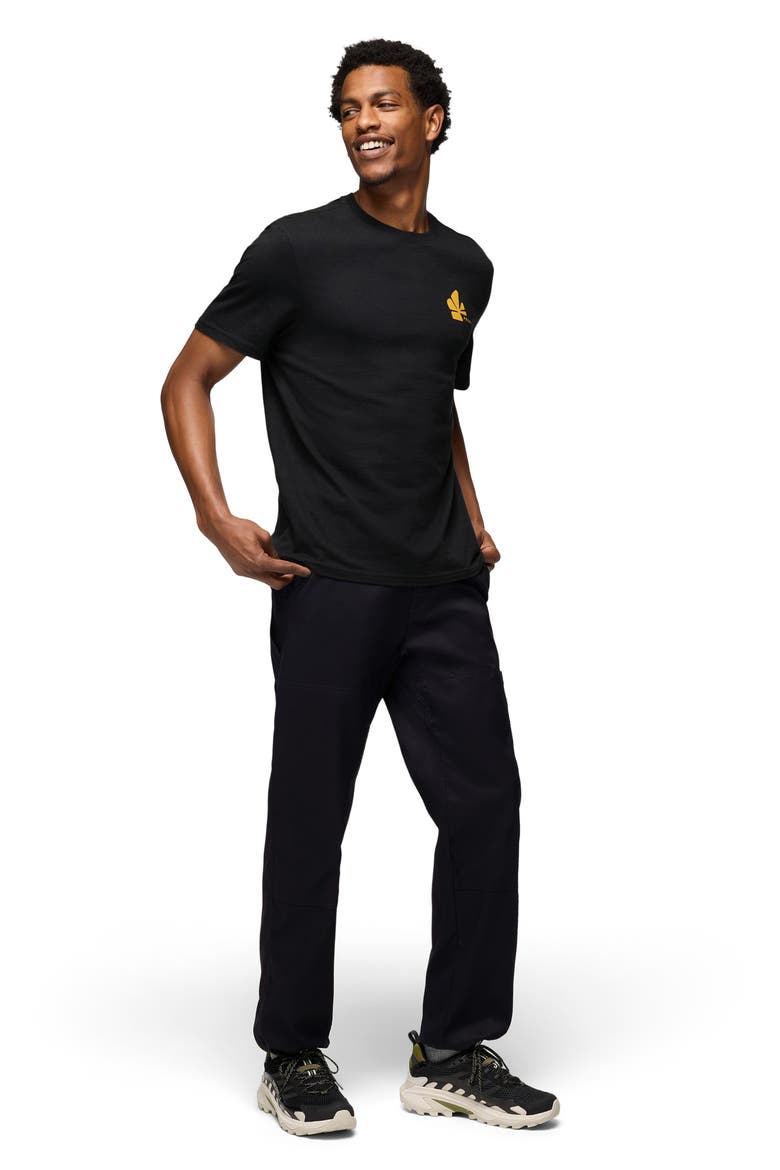 Stretch Zion™ Carpenter Pants, Alternate, color, BLACK