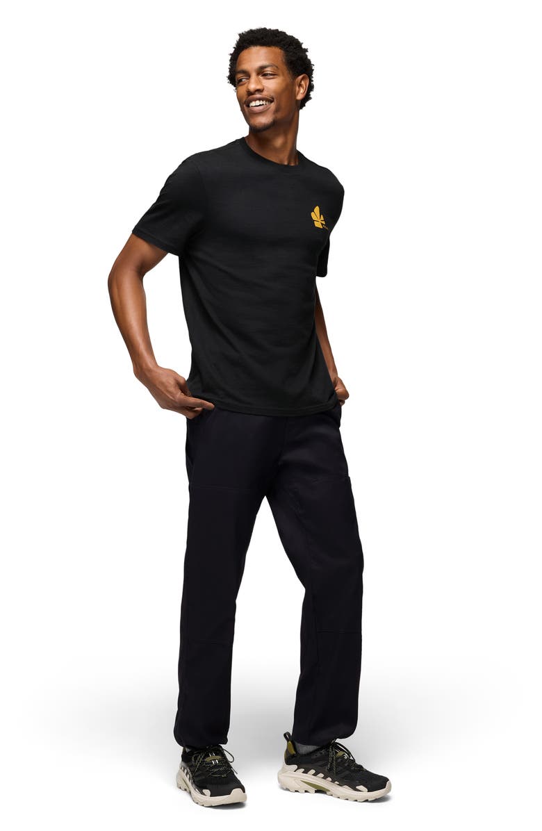 prAna Stretch Zion<sup>™</sup> Carpenter Pants, Alternate, color, Black