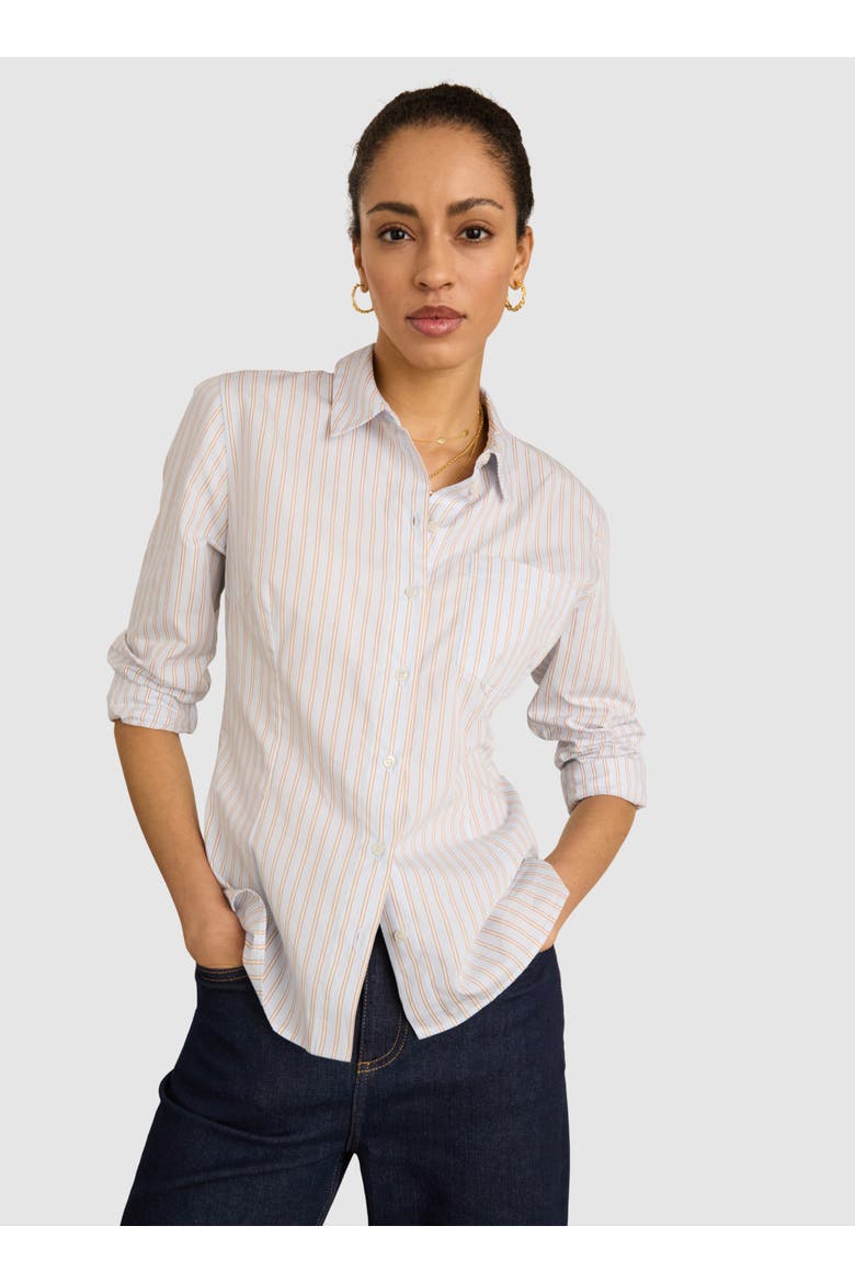 Nicola Cotton Stripe Shirt, Main, color, Blue, Brown & White Stripe