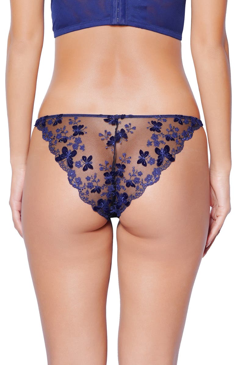 Huit Papillion Embroidered Tulle Bikini Briefs, Alternate, color, Navy