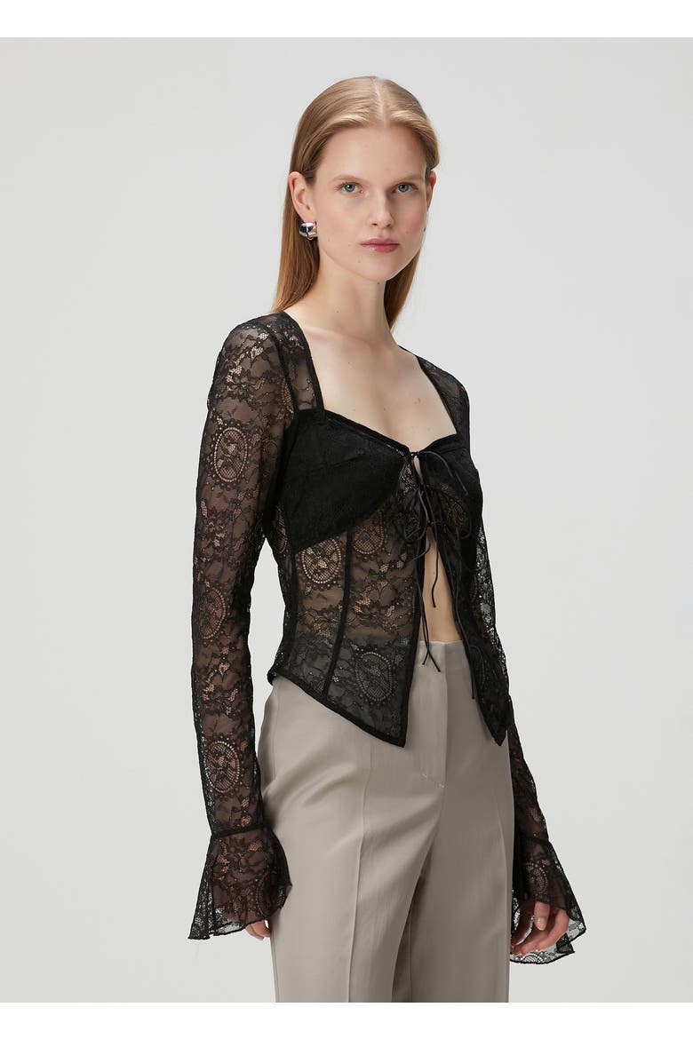 Long Sleeve Black Lace Top, Alternate, color, BLACK