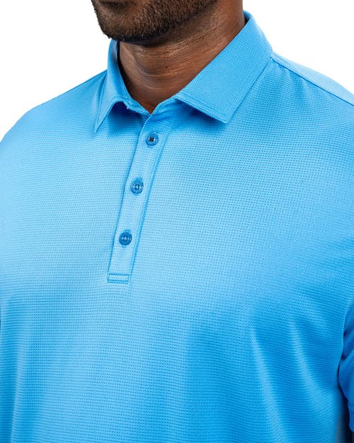 Black Clover Tubbs Polo In Blue