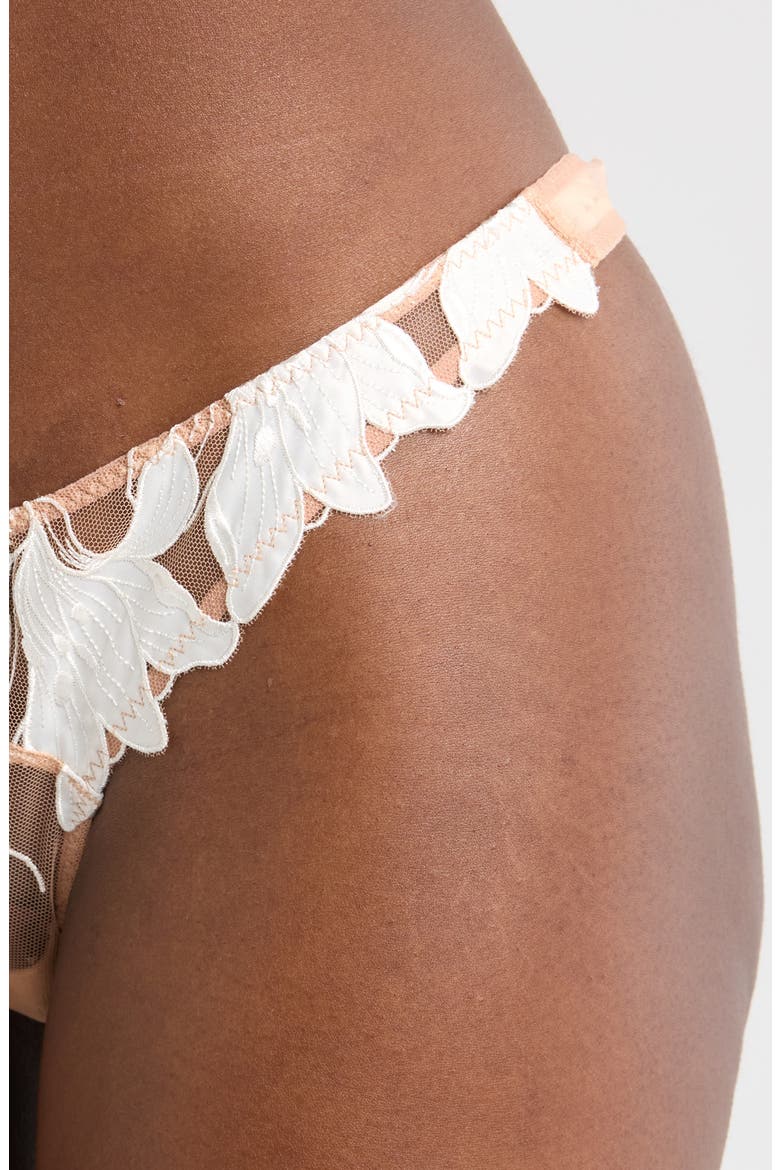 Lily Embroidered Hipster Thong, Alternate, color, IVORY