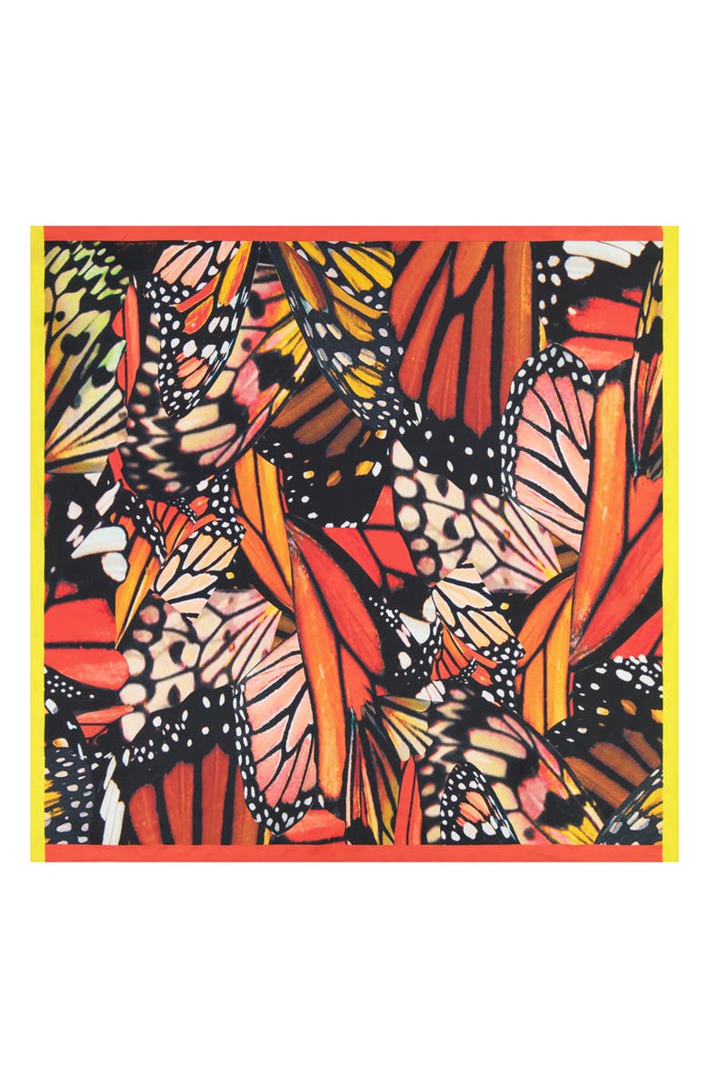 Bien Abyé Papillon Wing Scarf, Alternate, color, 