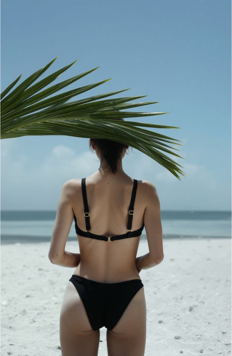 Blvck Eclipse Bikini, Alternate, color, 