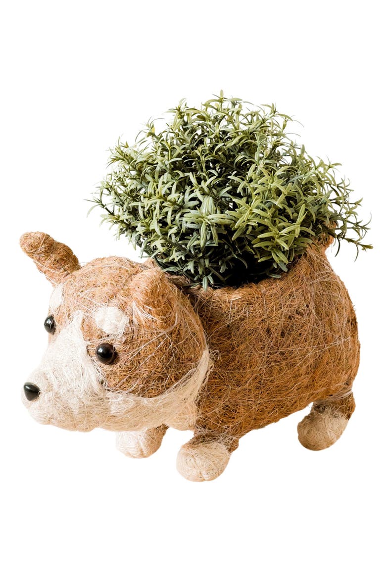 Corgi Handwoven Planter, Main, color, BROWN / WHITE