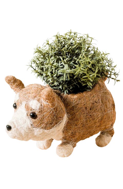 Corgi Handwoven Planter