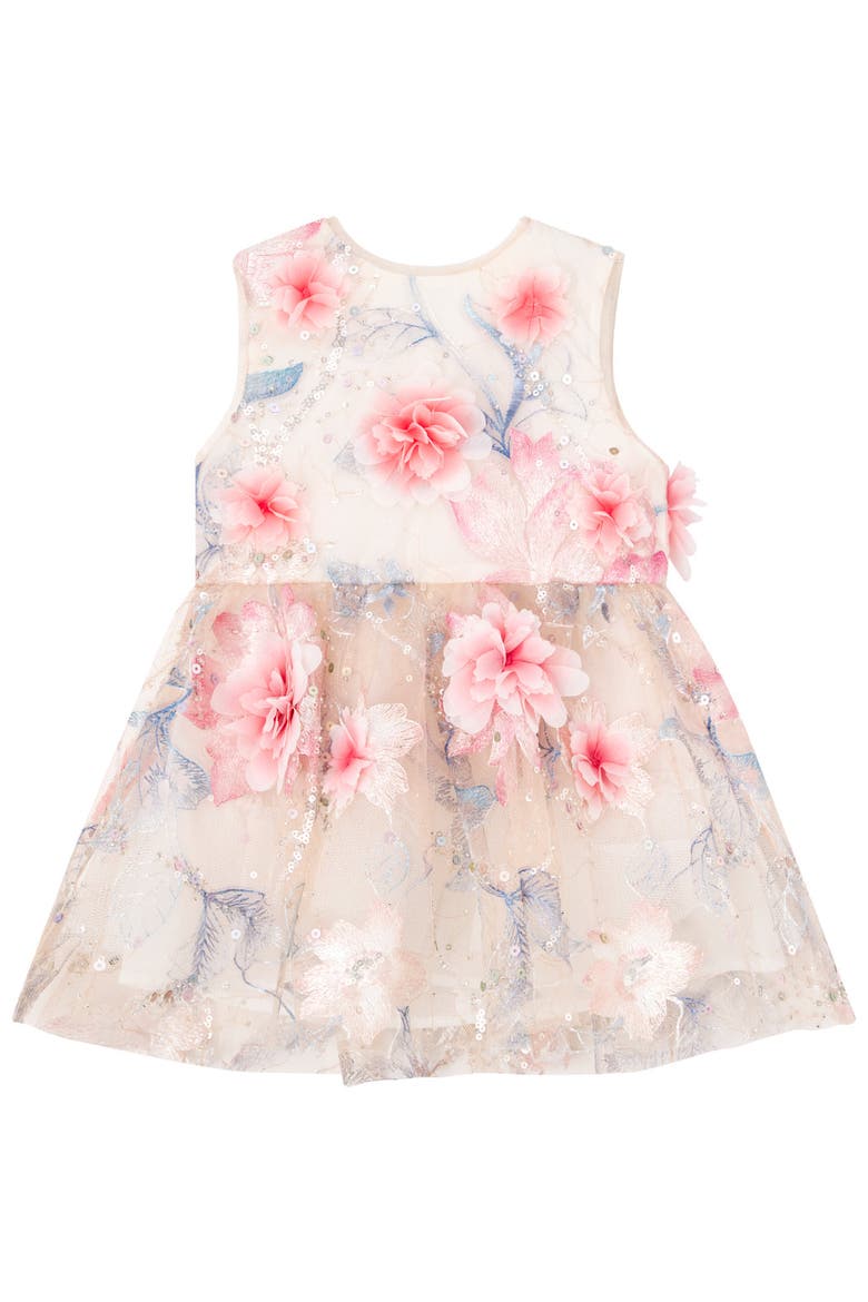 Rosalia Embroidered Mini Dress, Main, color, Floral