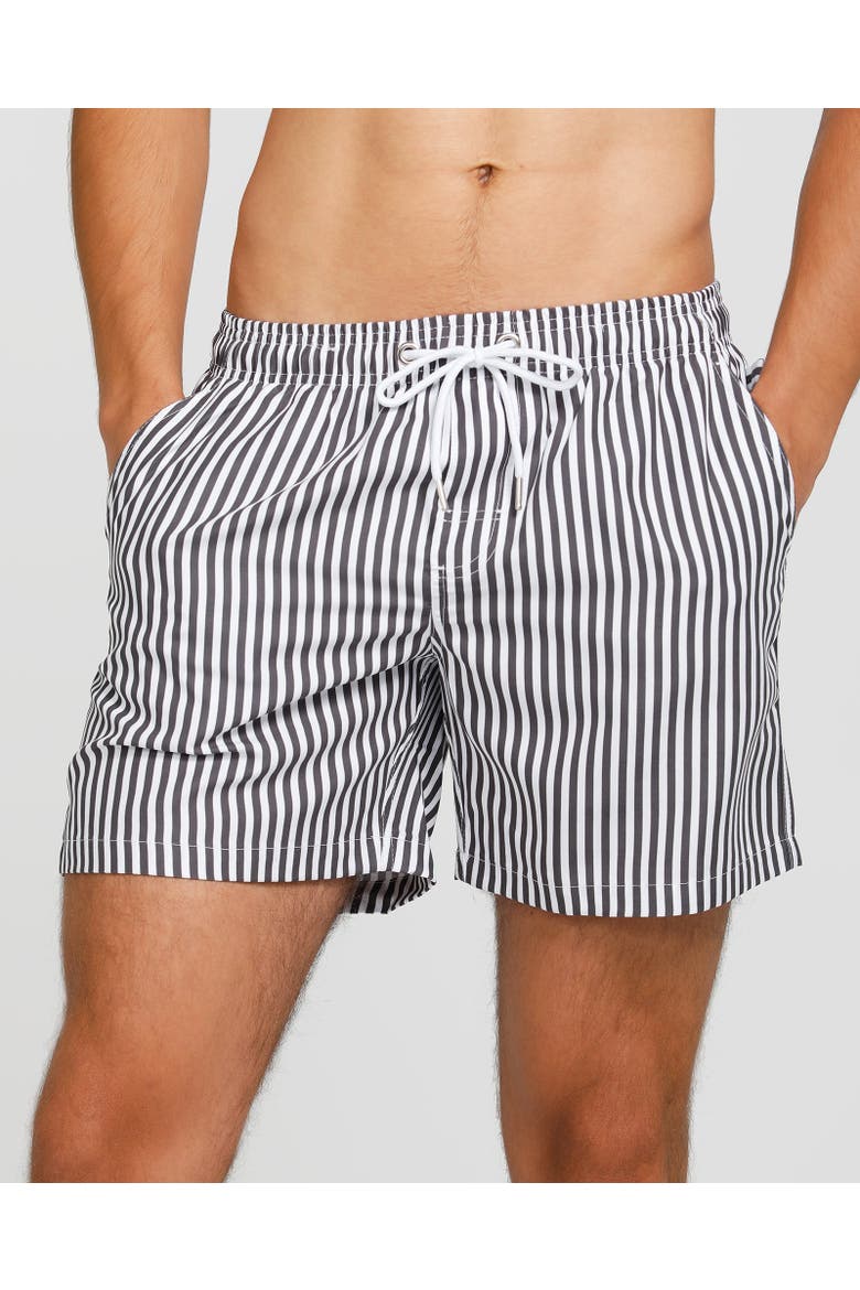 The Hamptons Swim Short, Main, color, White & Charcoal Stripe
