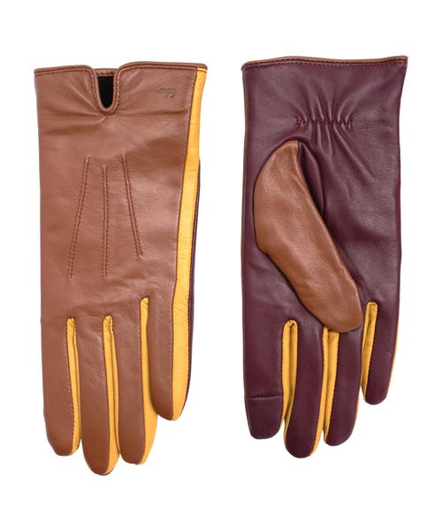 Echo Colorblock Leather Gloves