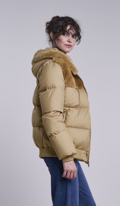 Blue Duck Down Jacket In Brown