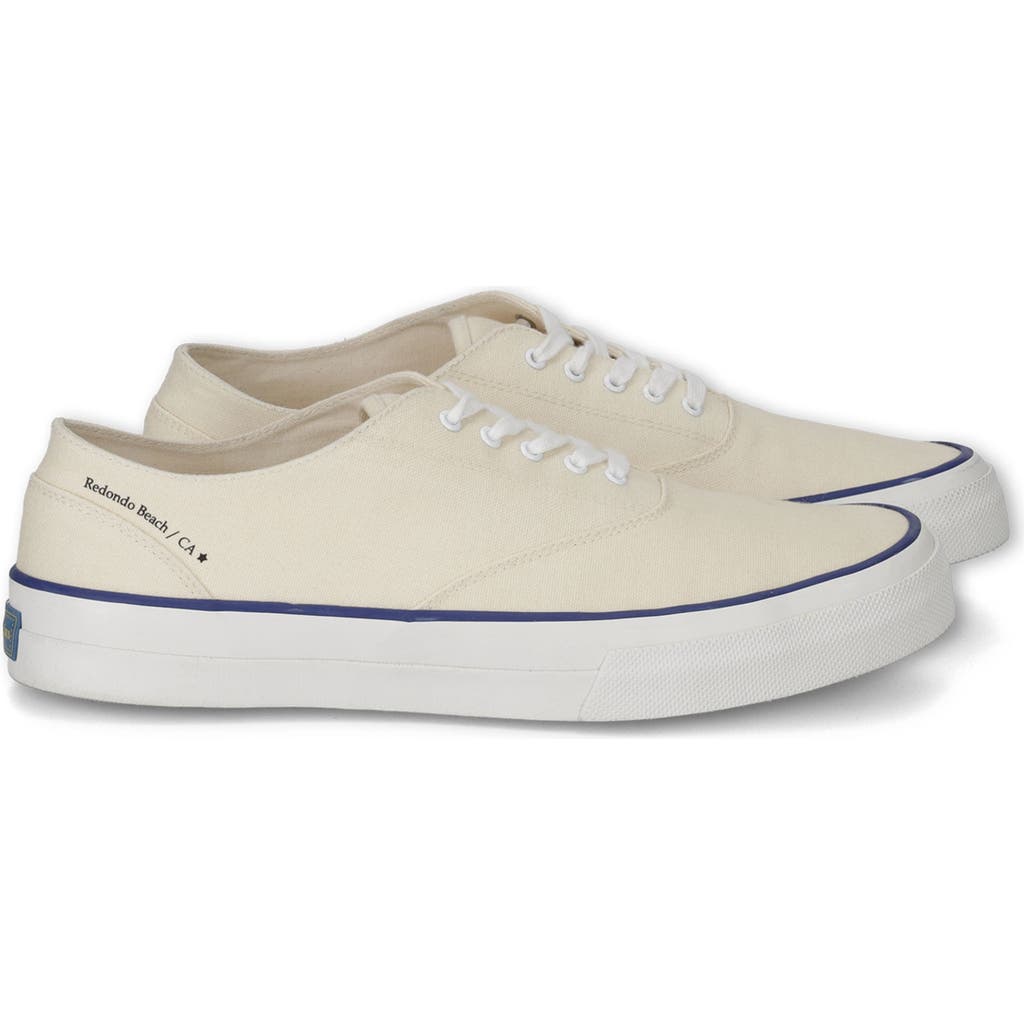 Fortela Redondo Canvas Sneakers By Mr. Fliks In White