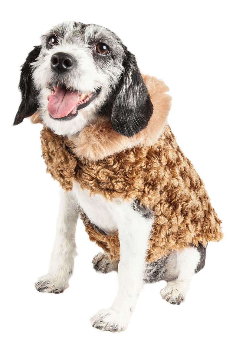 LUXE 'Gilded Rawflled' Gold Fleck Designer Faux Fur Dog Coat, Alternate, color, COFFEE BROWN AND WHITE