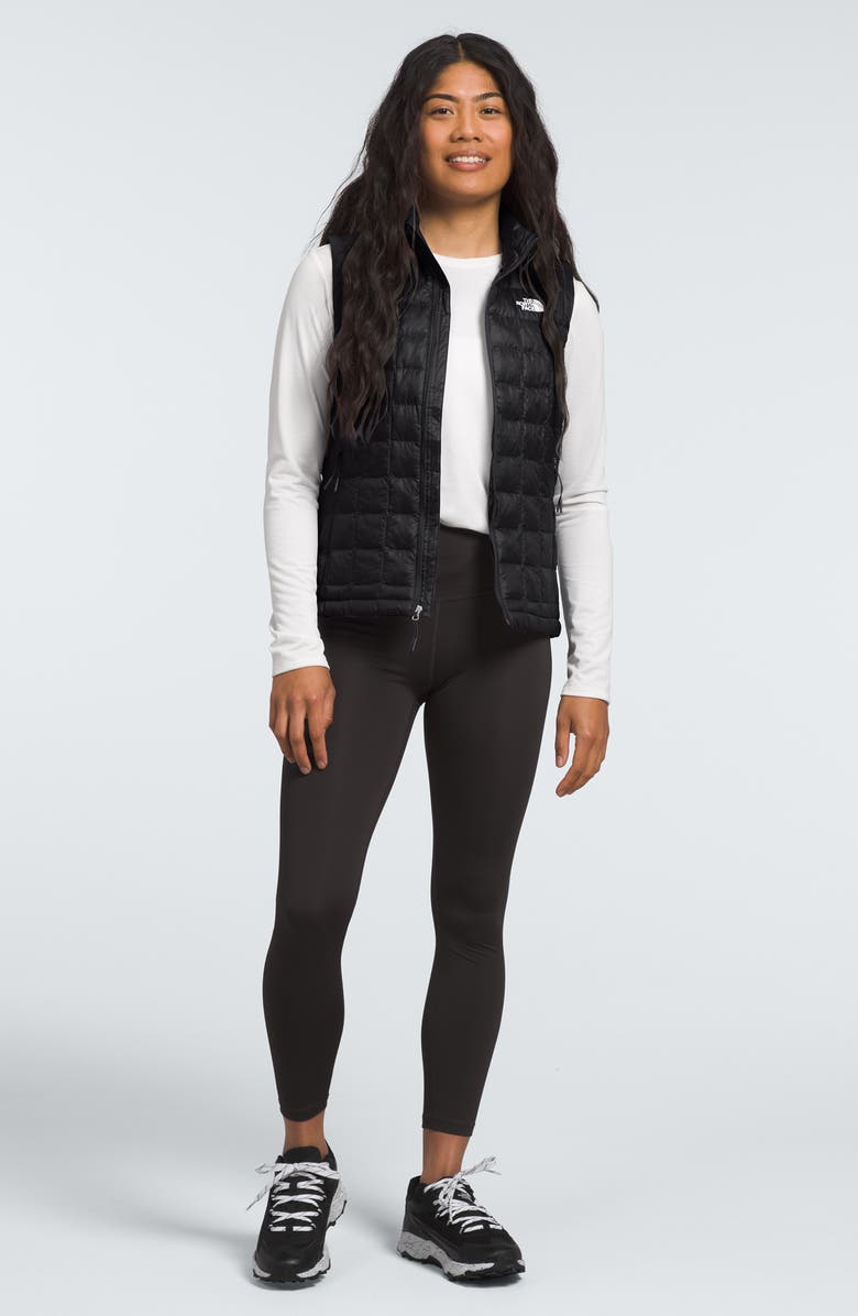 The North Face ThermoBall<sup>™</sup> Eco 2.0 Packable Jacket, Alternate, color, 
