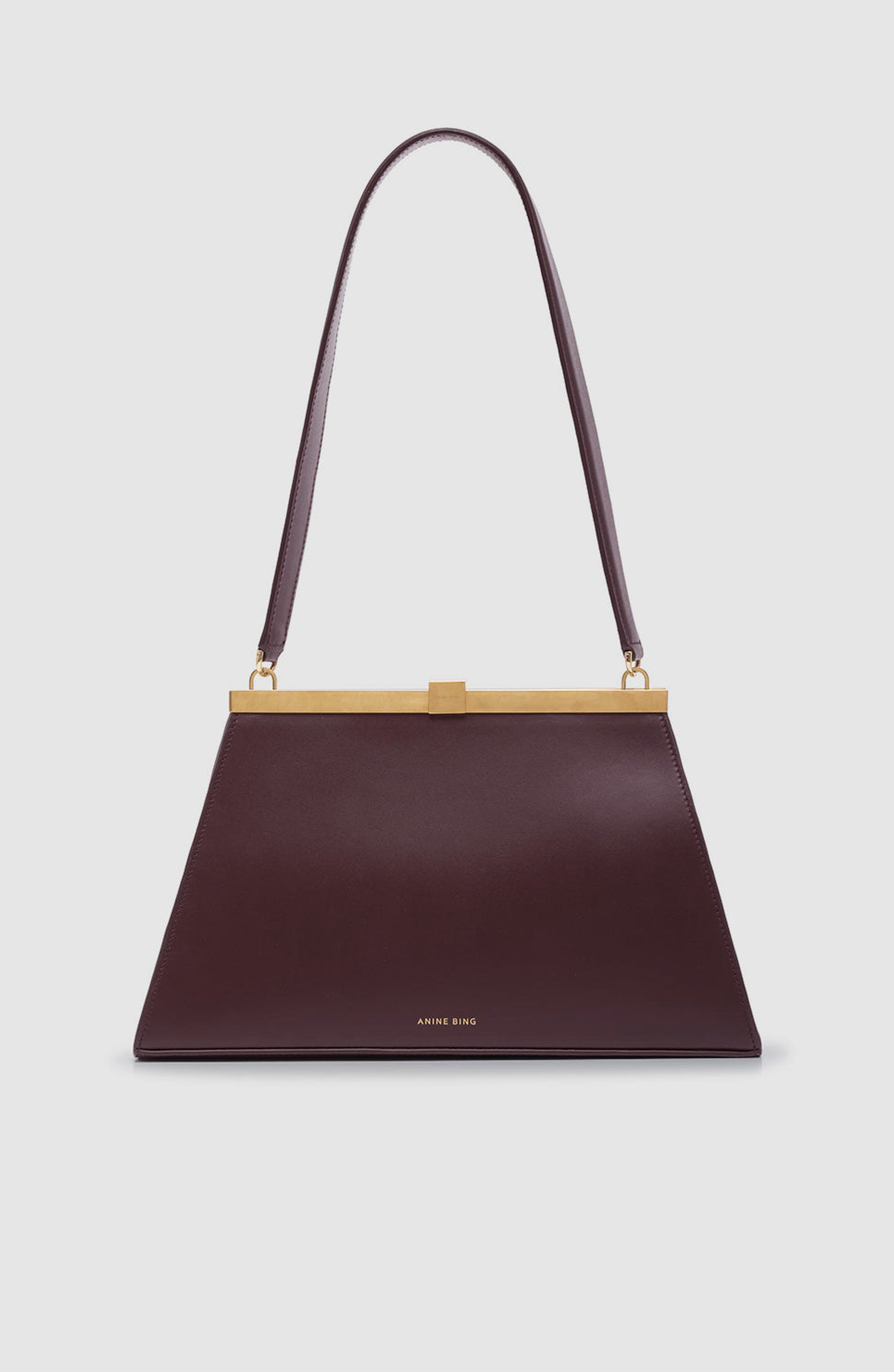 Anine Smooth Leather Bag, Main, color, Fig