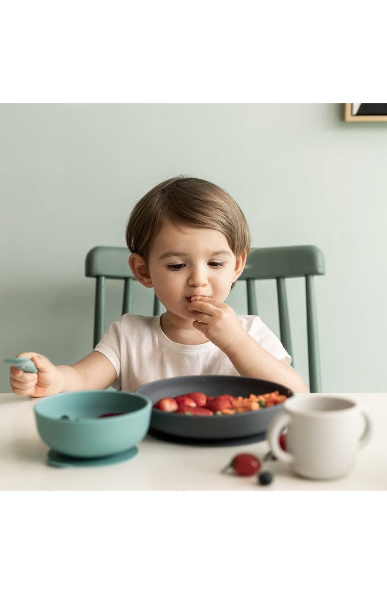 EKOBO Silicone Baby Meal Set, Alternate, color, Lagoon
