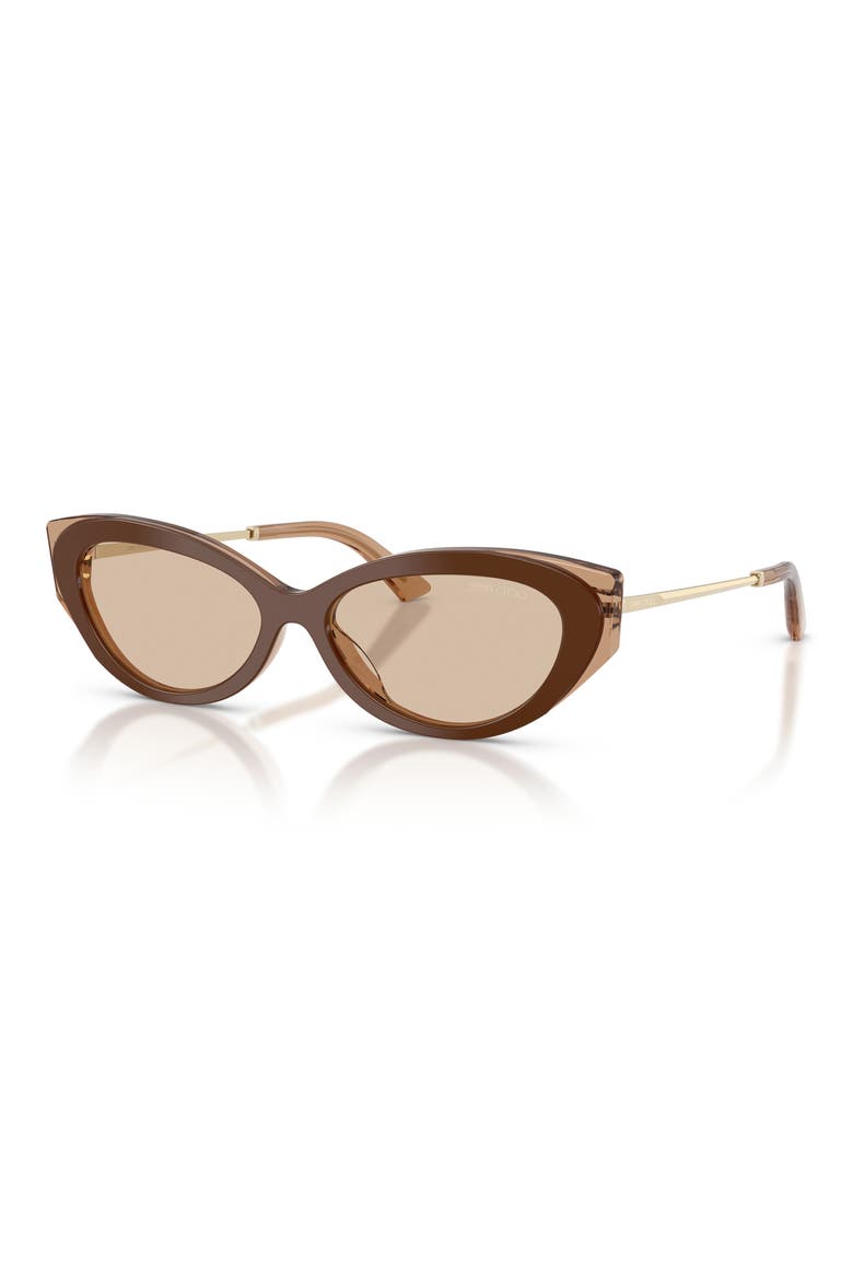 54mm Cat Eye Sunglasses, Alternate, color, BROWN/ TAN / LIGHT BROWN