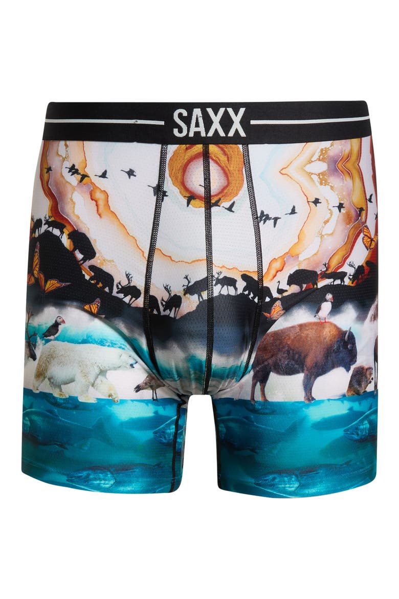 Volt Breathable Sim Fit Mesh Boxer Briefs, Main, color, GREAT MIGRATION-MLTI