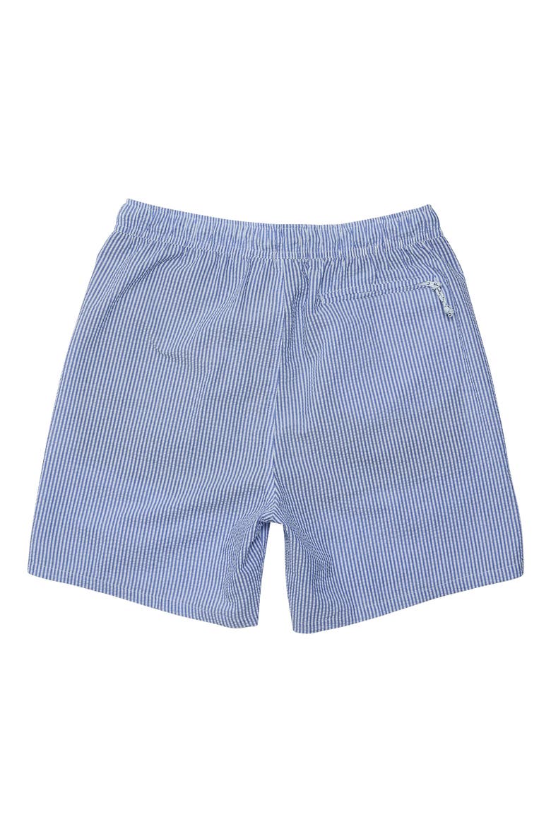 Comfort Lined Swim Shorts, Alternate, color, Parisian Summer