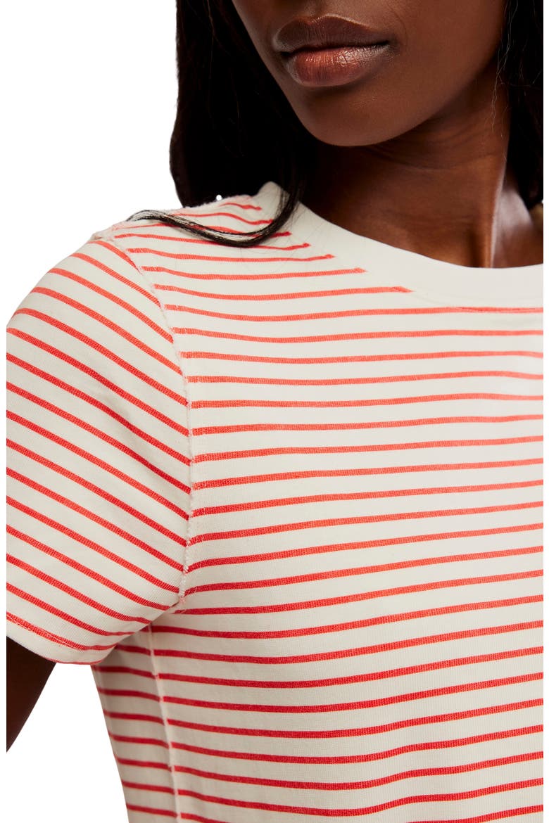 Everyday Stripe Cotton T-Shirt, Alternate, color, IVORY COMBO