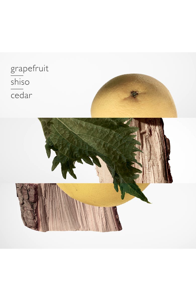 Hermès Terre d’Hermès - Pure perfume, Alternate, color, 