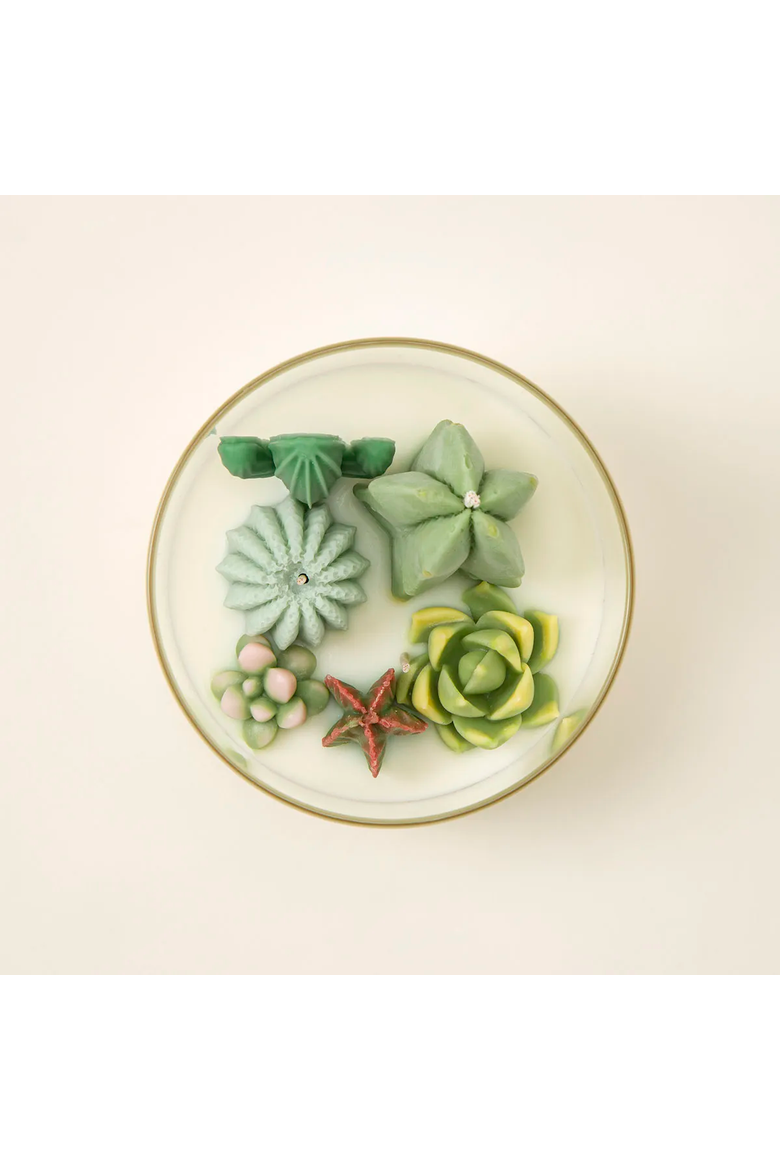 Terrarium Candle Large - Cactus Terrarium (Champagne & Peach) by Zoet Studio, Alternate, color, Champagne & Peach