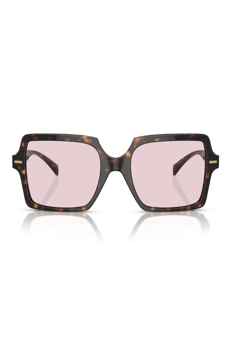 55mm Square Sunglasses, Main, color, HAVANA