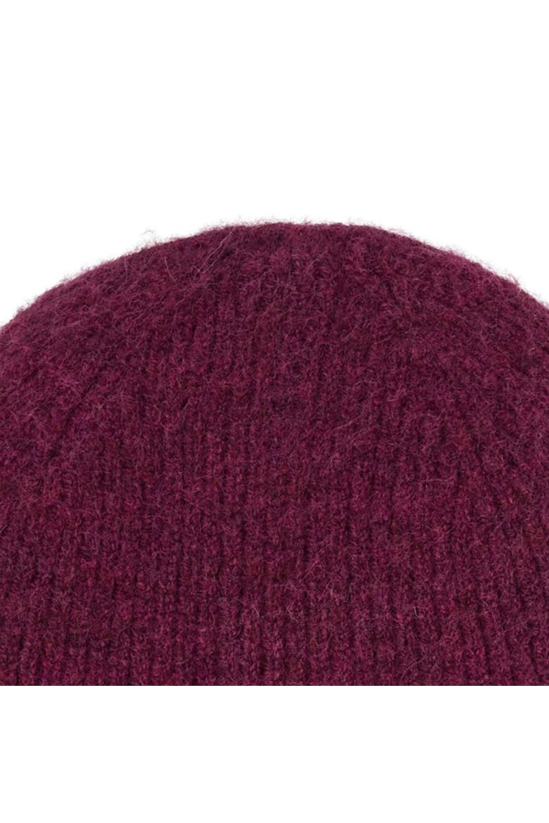 Basic Ribbed Beanie, Alternate, color, Dark Pimento