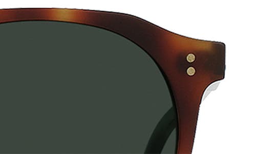Raen Remmy Polarized Round Sunglasses In Brown