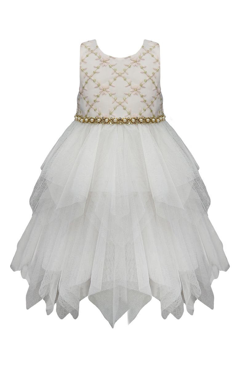 AMERICAN PRINCESS Embroidered Tiered Party Dress, Main, color, 